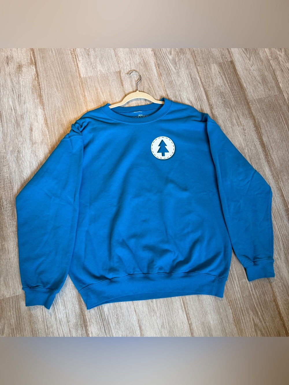 Hot Topic Gravity Falls Sweatshirt Gravity Falls, Oregon Dipper Pines Large